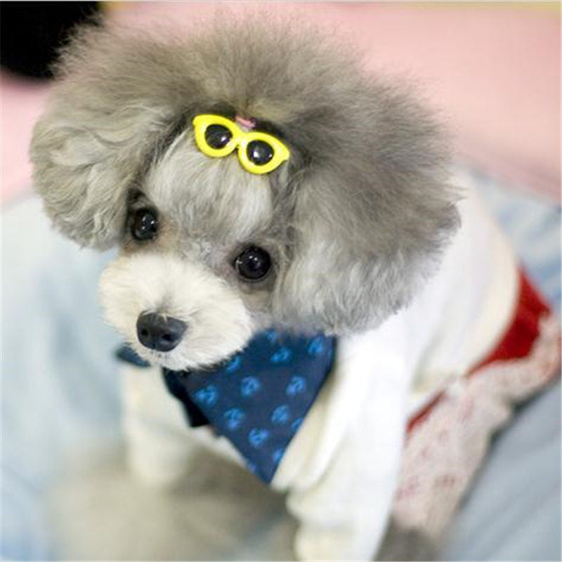 Pet glasses hair clip
