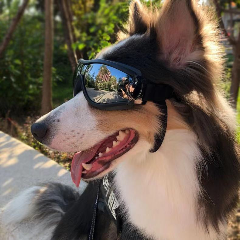 Pet Waterproof Windproof Sunscreen And UV Protection Glasses