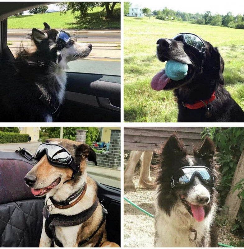 Pet Waterproof Windproof Sunscreen And UV Protection Glasses