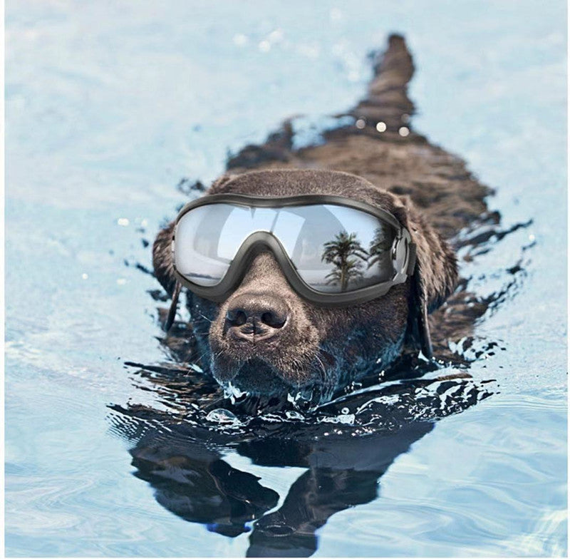 Pet Waterproof Windproof Sunscreen And UV Protection Glasses